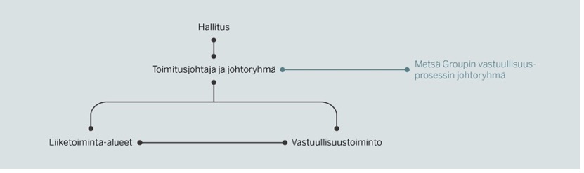 Hallitus, Toimitusjohtaja ja johtoryhmä, Metsä Groupin vastuullisuusprosessin johtoryhmä, liiketoiminta-alueet ja vastuullisuustoiminto