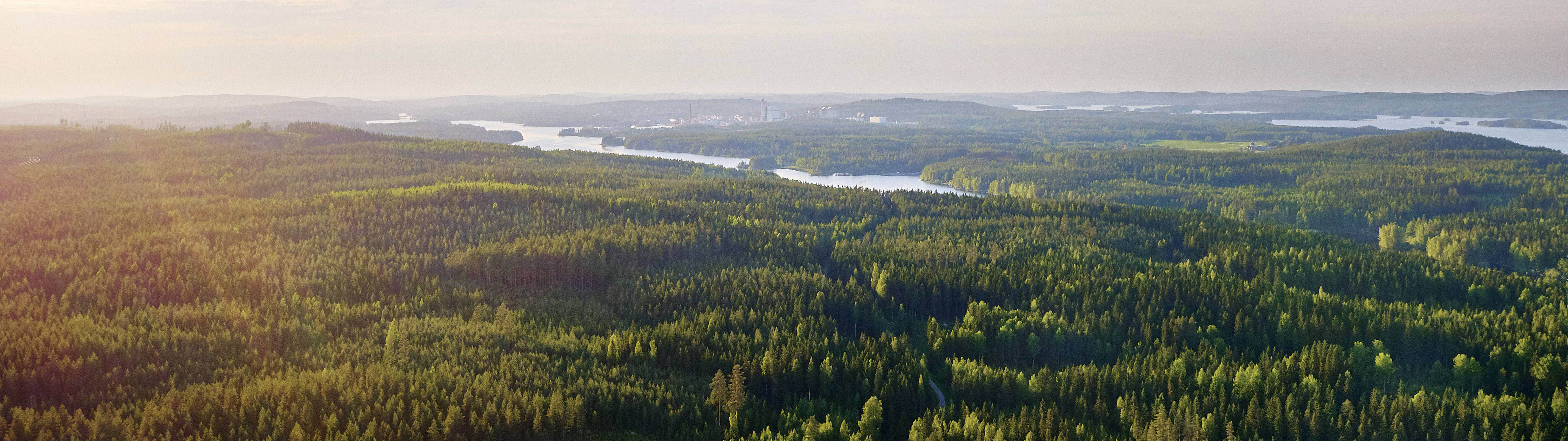 New forest management model for Metsä Group’s wood supply to boost the