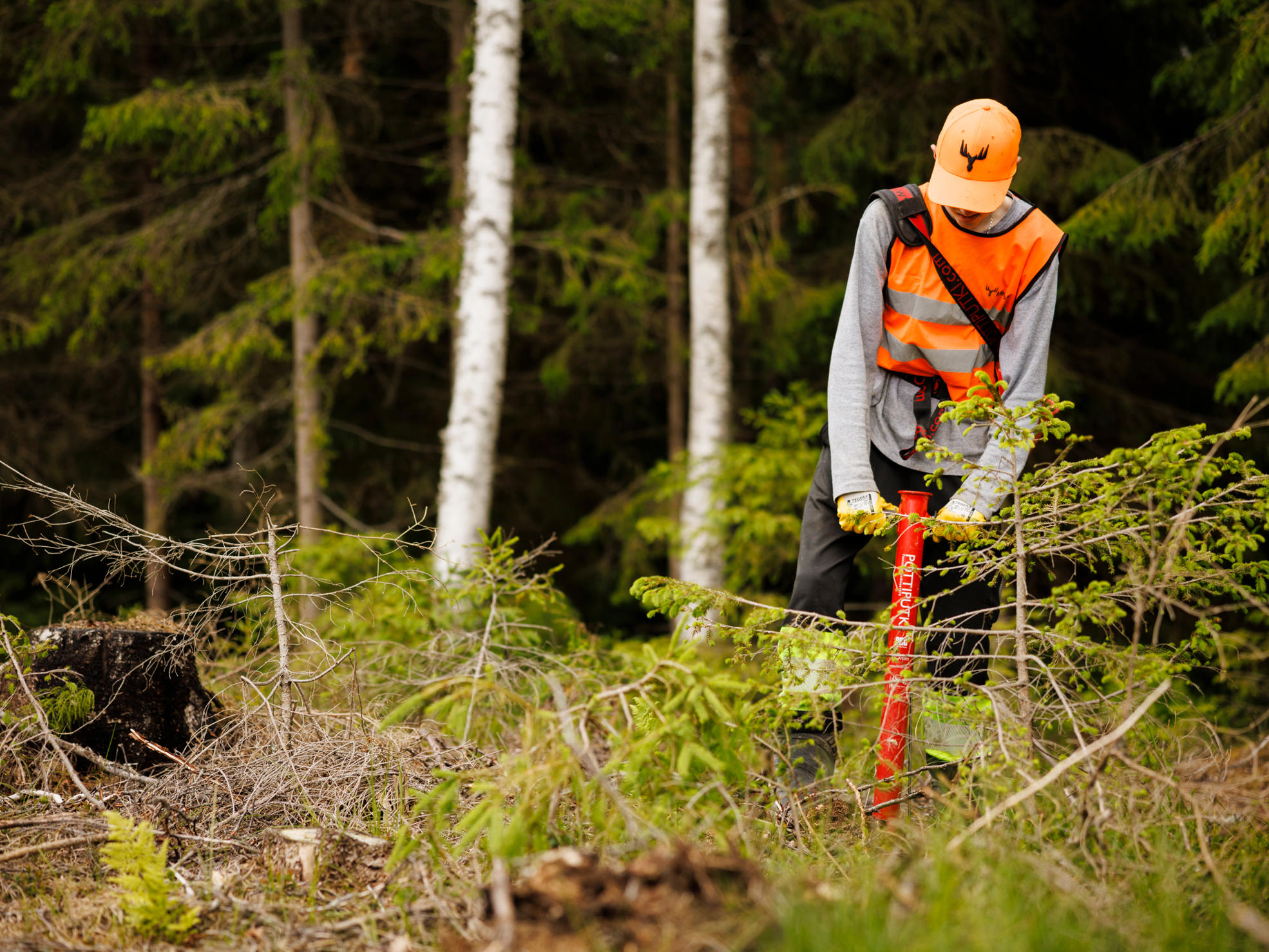 A man using planting pipes to plant a new forest.