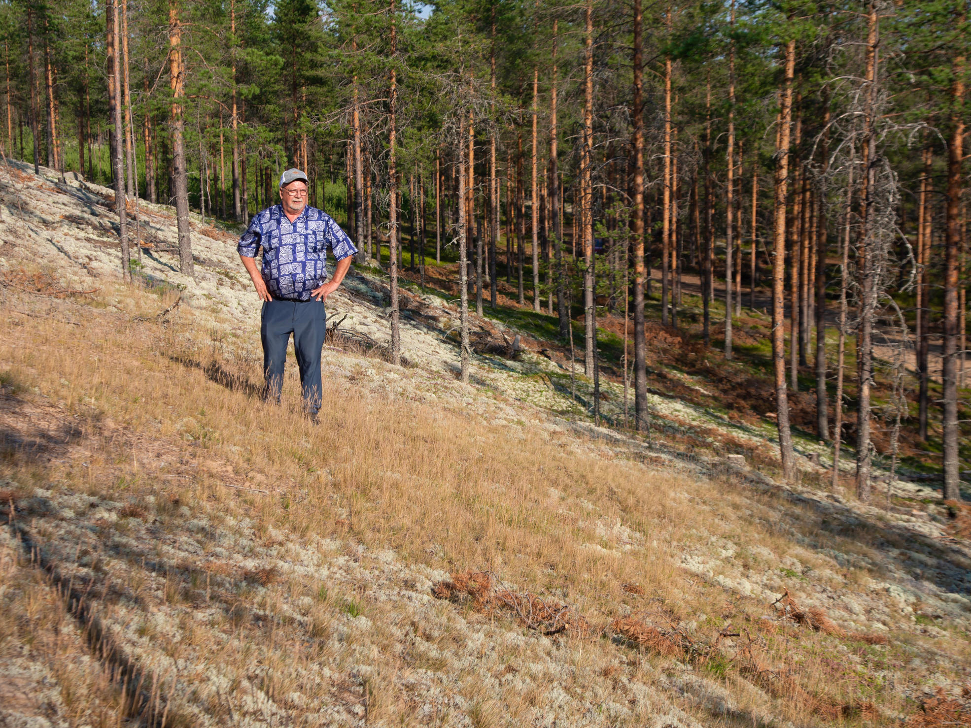 Metsänomistaja Timo Seppänen