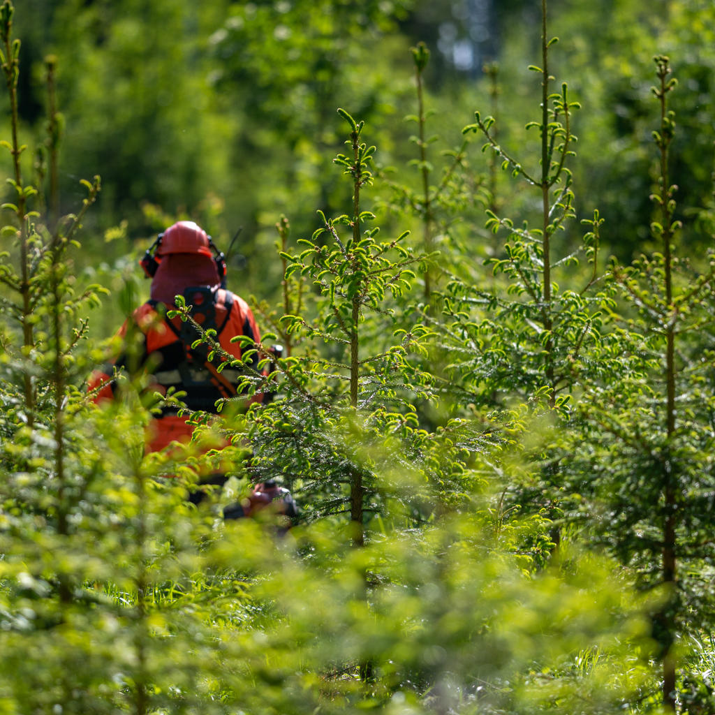 Arvoihin perustuvat, luotettavat kumppanuudet