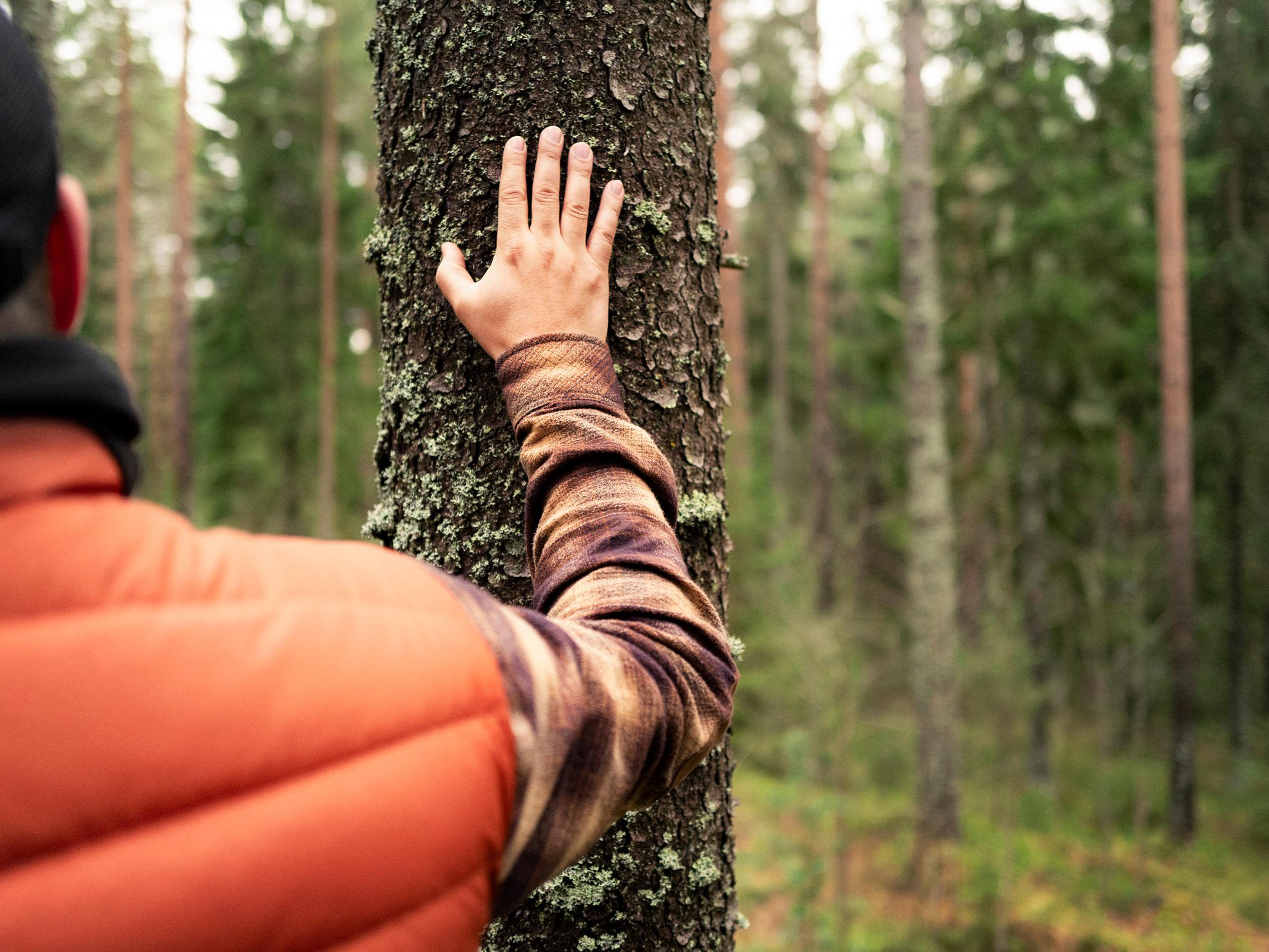 A forest specialist talking to forest owners by a felling site.