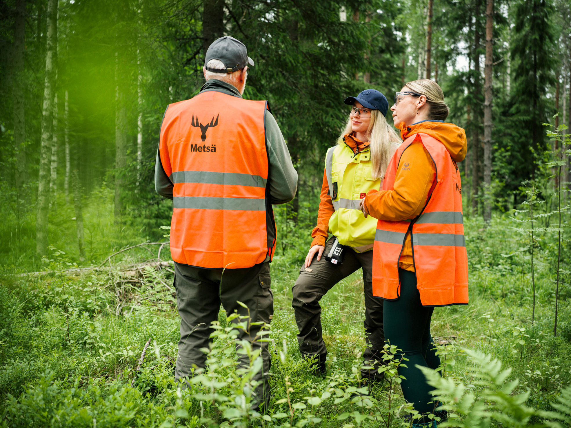 A child is sitting on the father’s shoulders, and accompanied by a forest specialist, they are looking at seedlings.