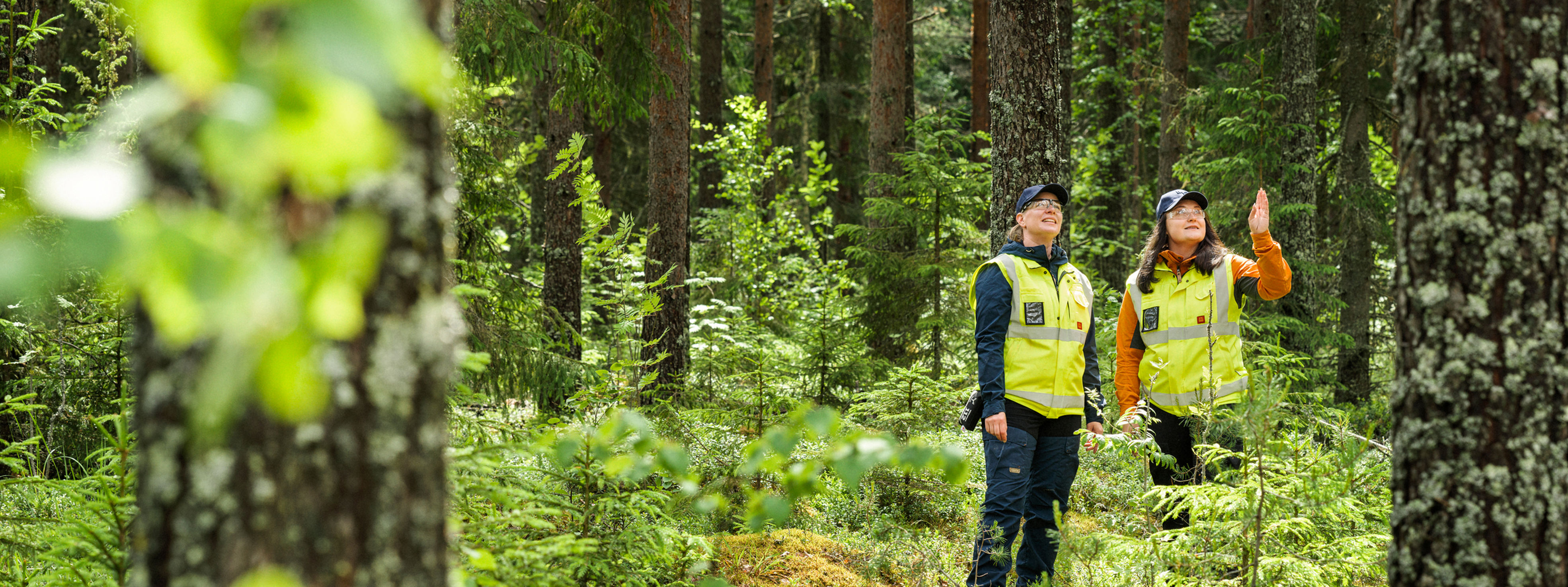 A forest specialist and forest owner having coffee in the forest.