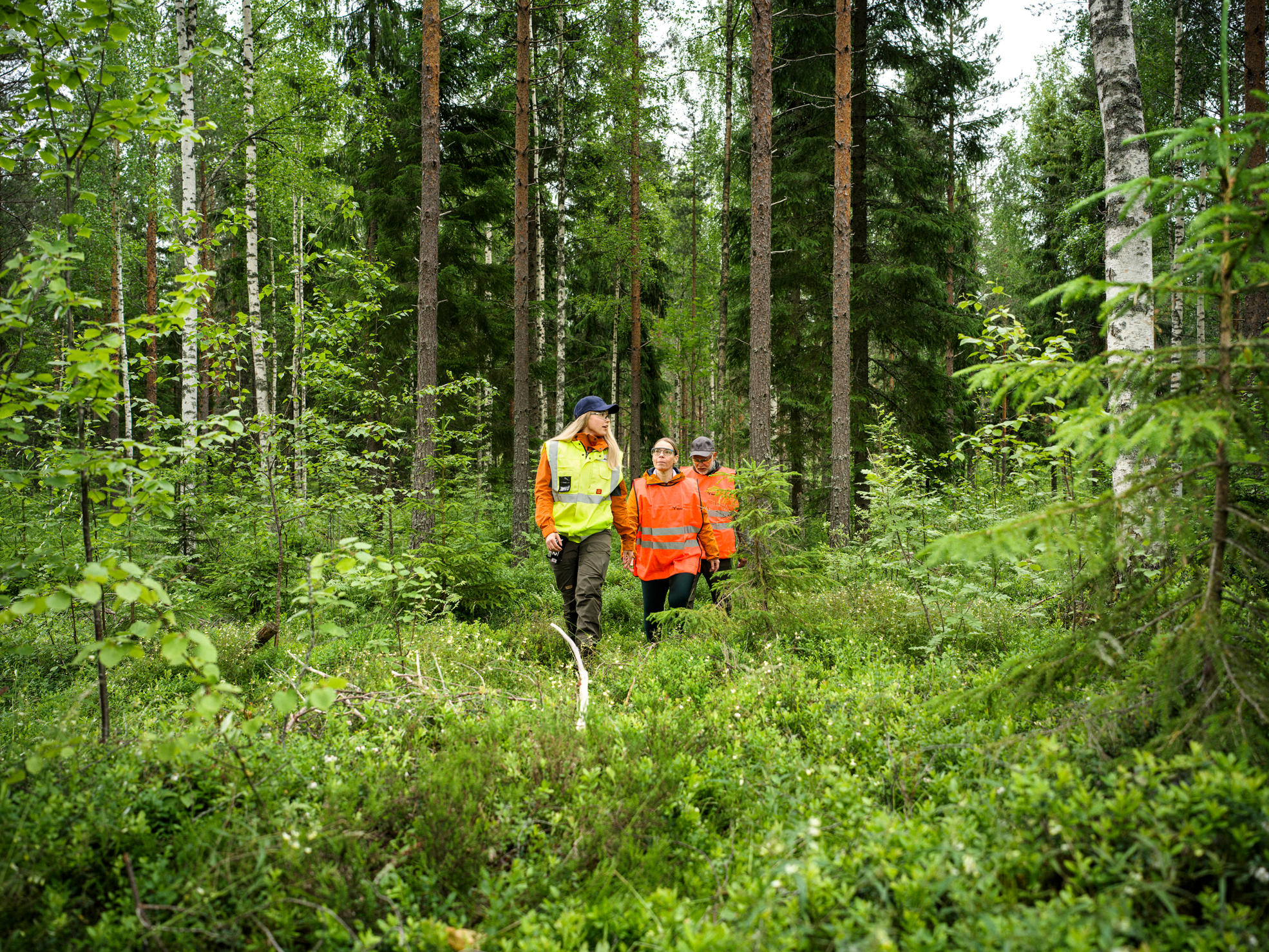 Metsäasiantuntija ja metsänomistajia kävelevät peräkkäin metsässä.