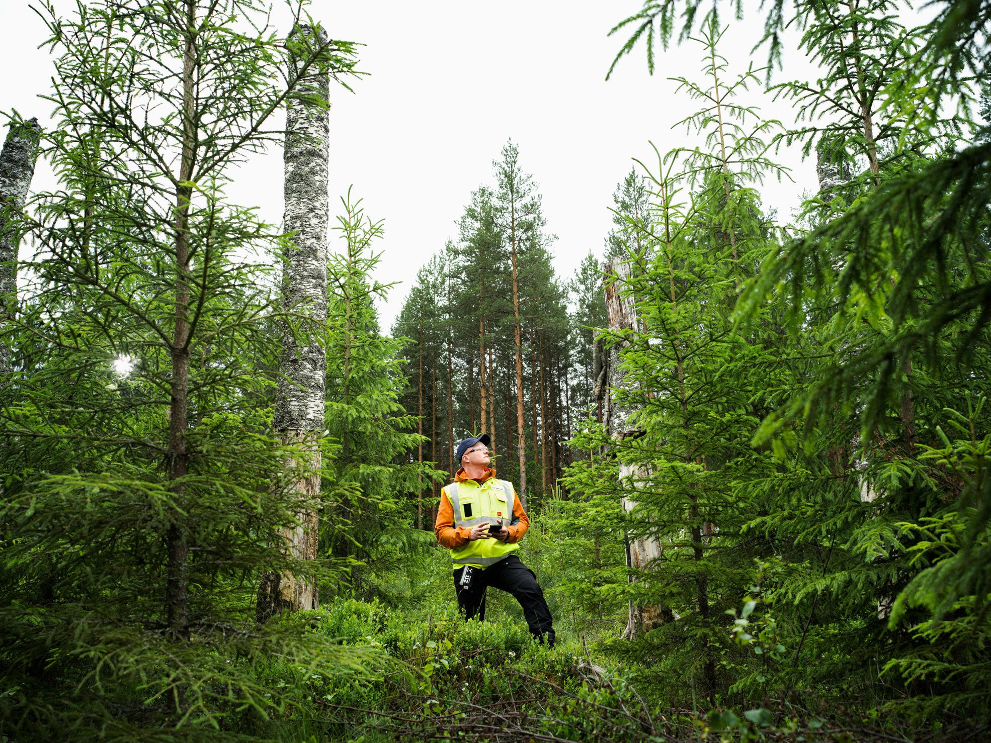 Skogsexpert och två skogsägare granskar Metsäverkko-mobil i skogen.