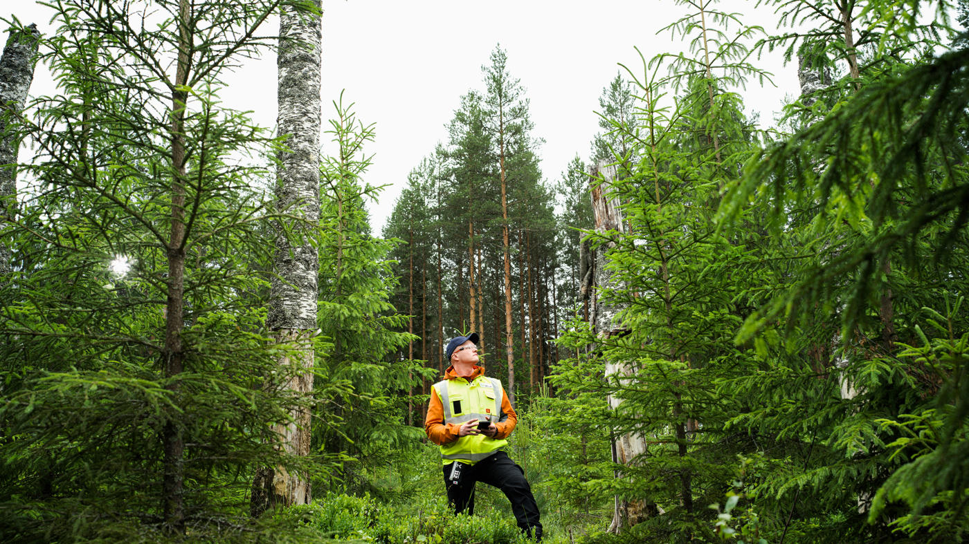 Metsäsuunnitelma metsäyhtymän apuna