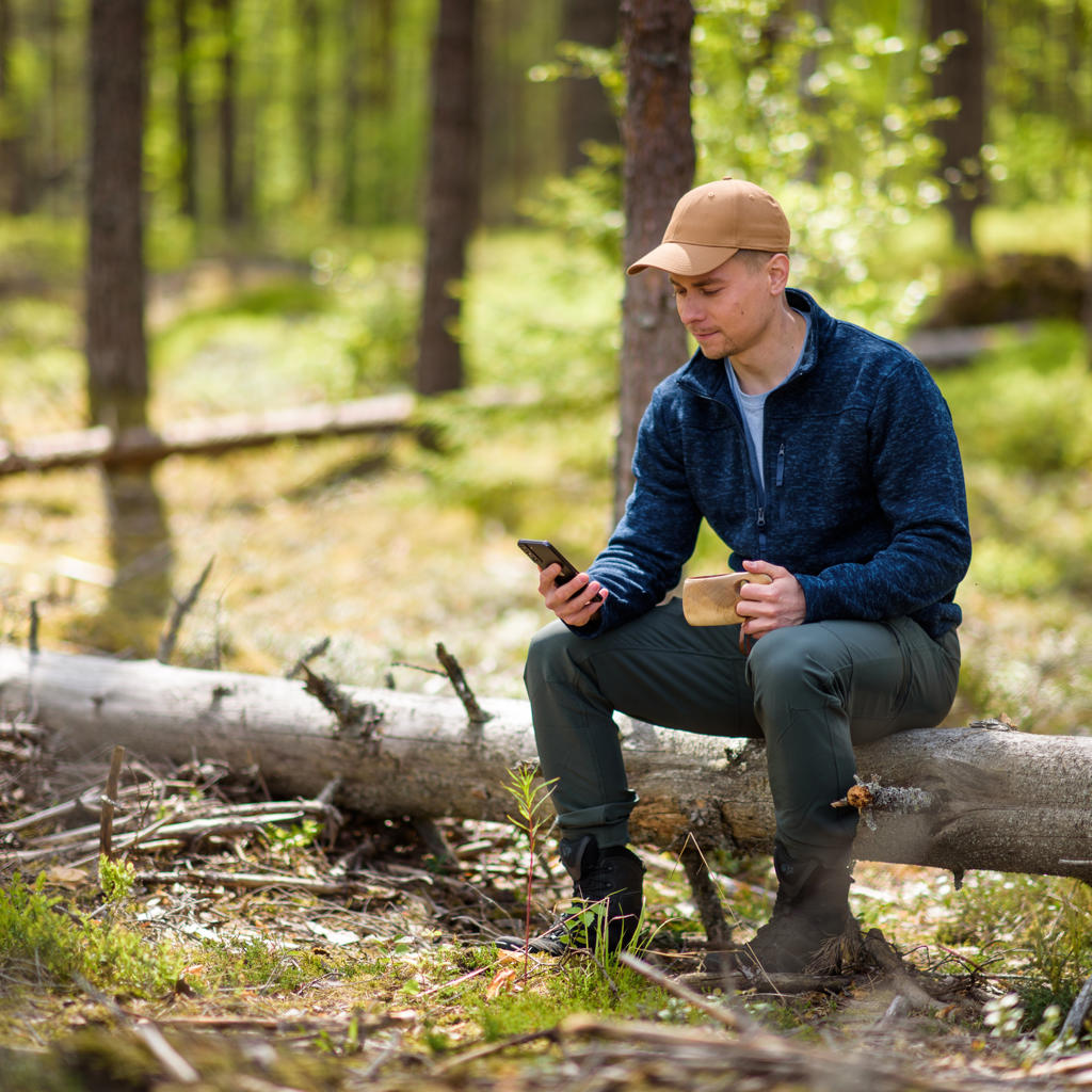 Metsäverkko