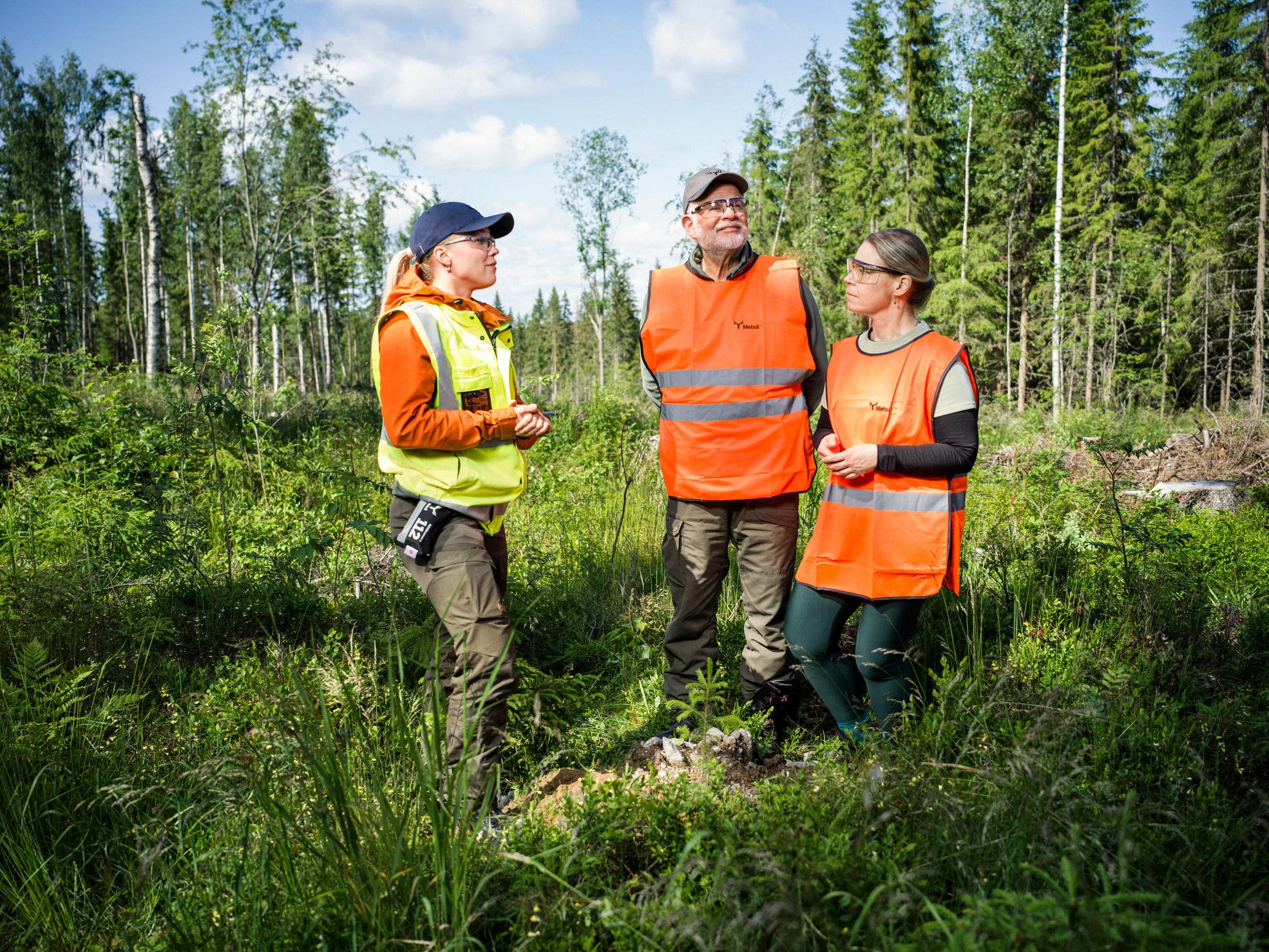 A forest specialist and two forest owners talking among seedlings.