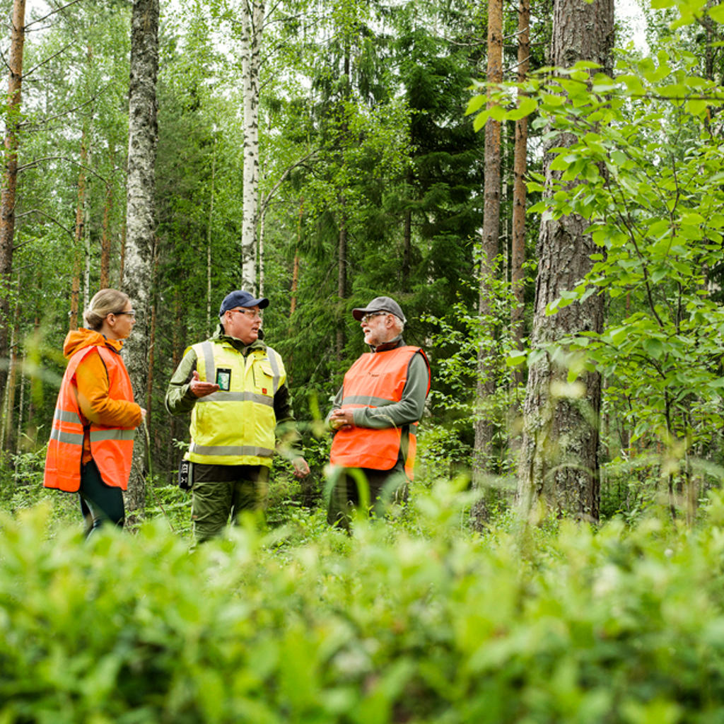 Päivitä yhteystietosi Metsäverkossa