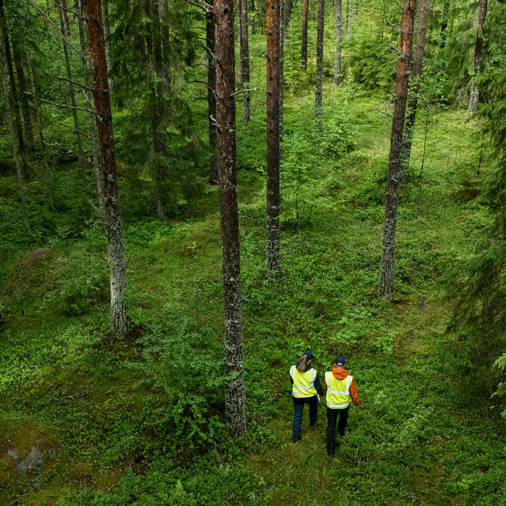 We carry out quality and environmental inspections