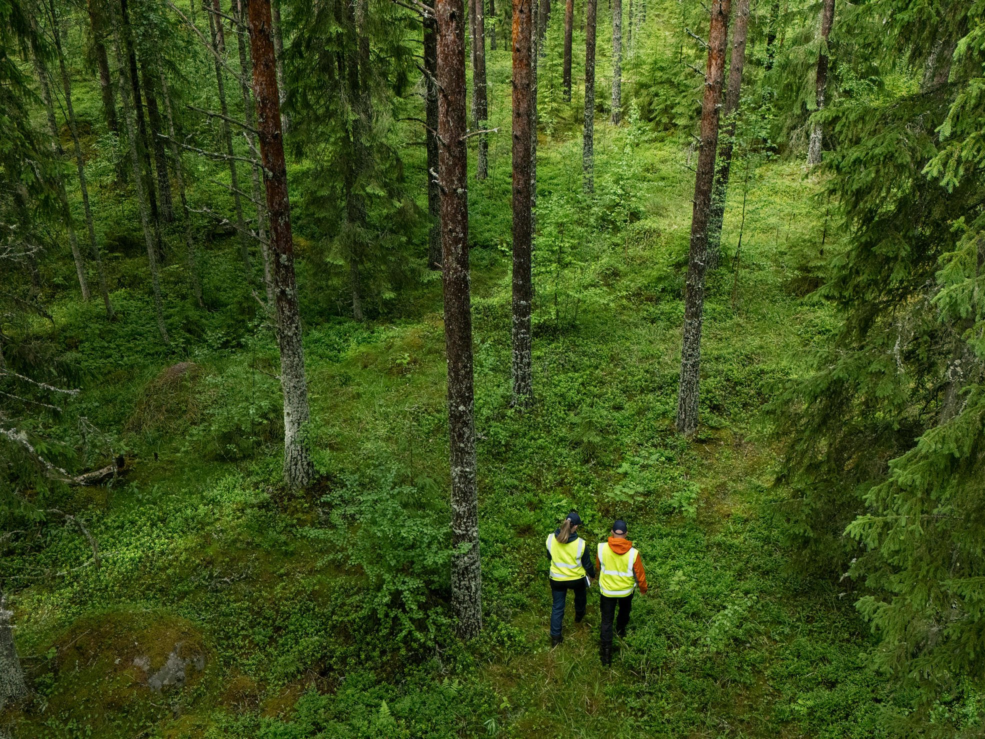 Two persons walking in the forest.