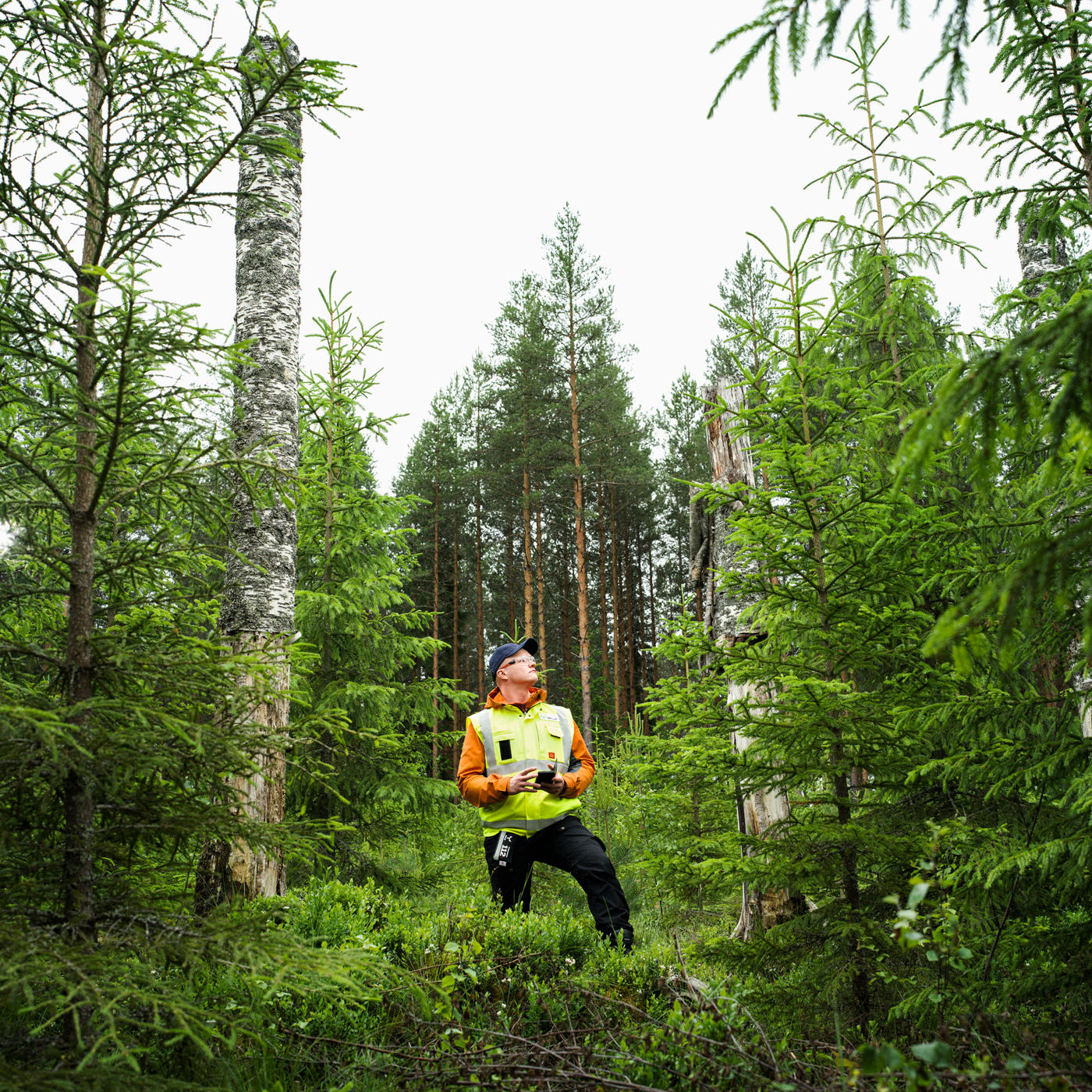 Teemme hakkuut uudistavan metsätalouden periaatteiden mukaisesti