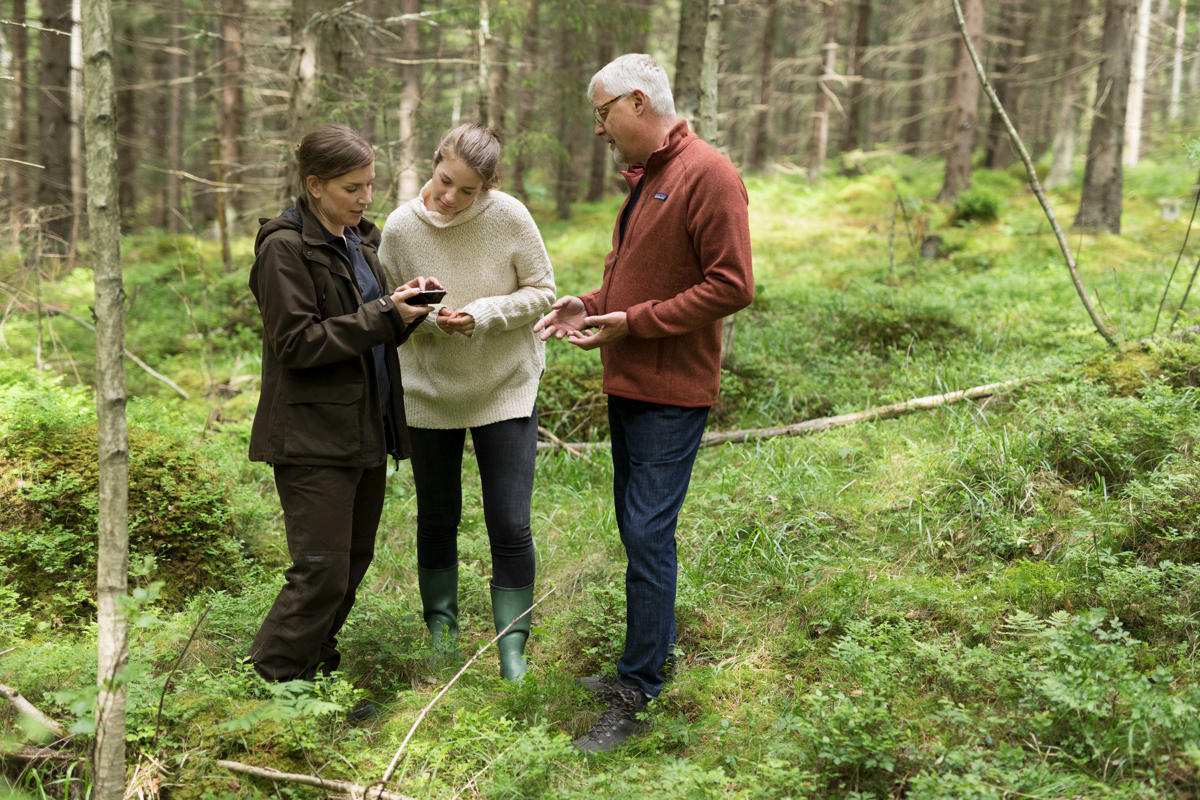 Easier communication for forest estates with several owners