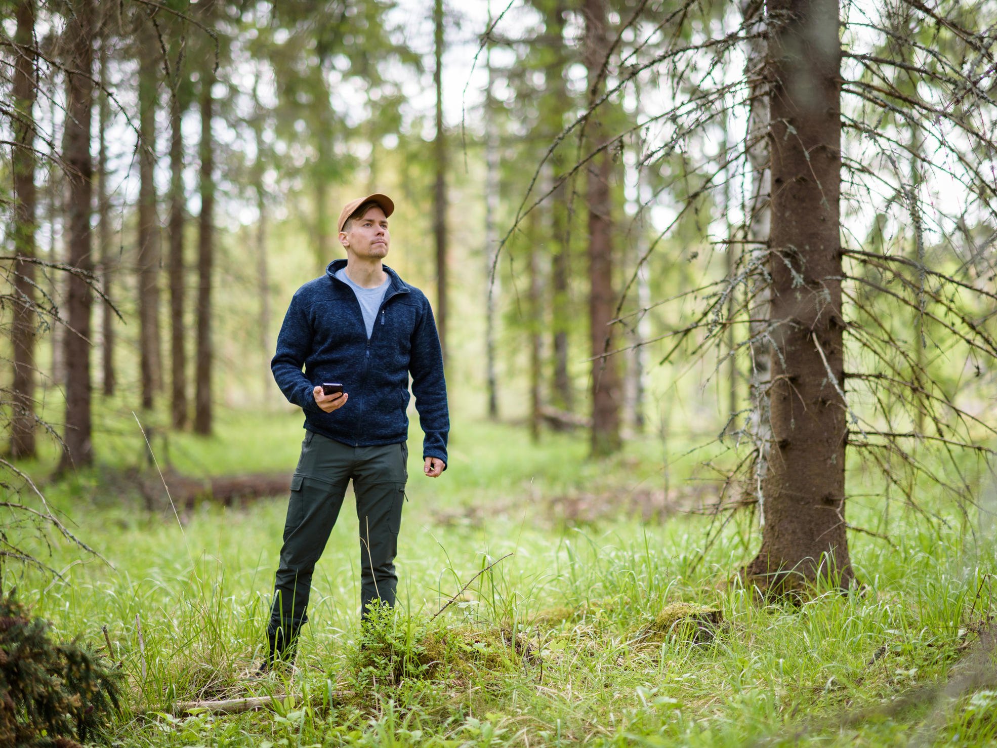 A man stands in a spruce forest with a phone in his hand.