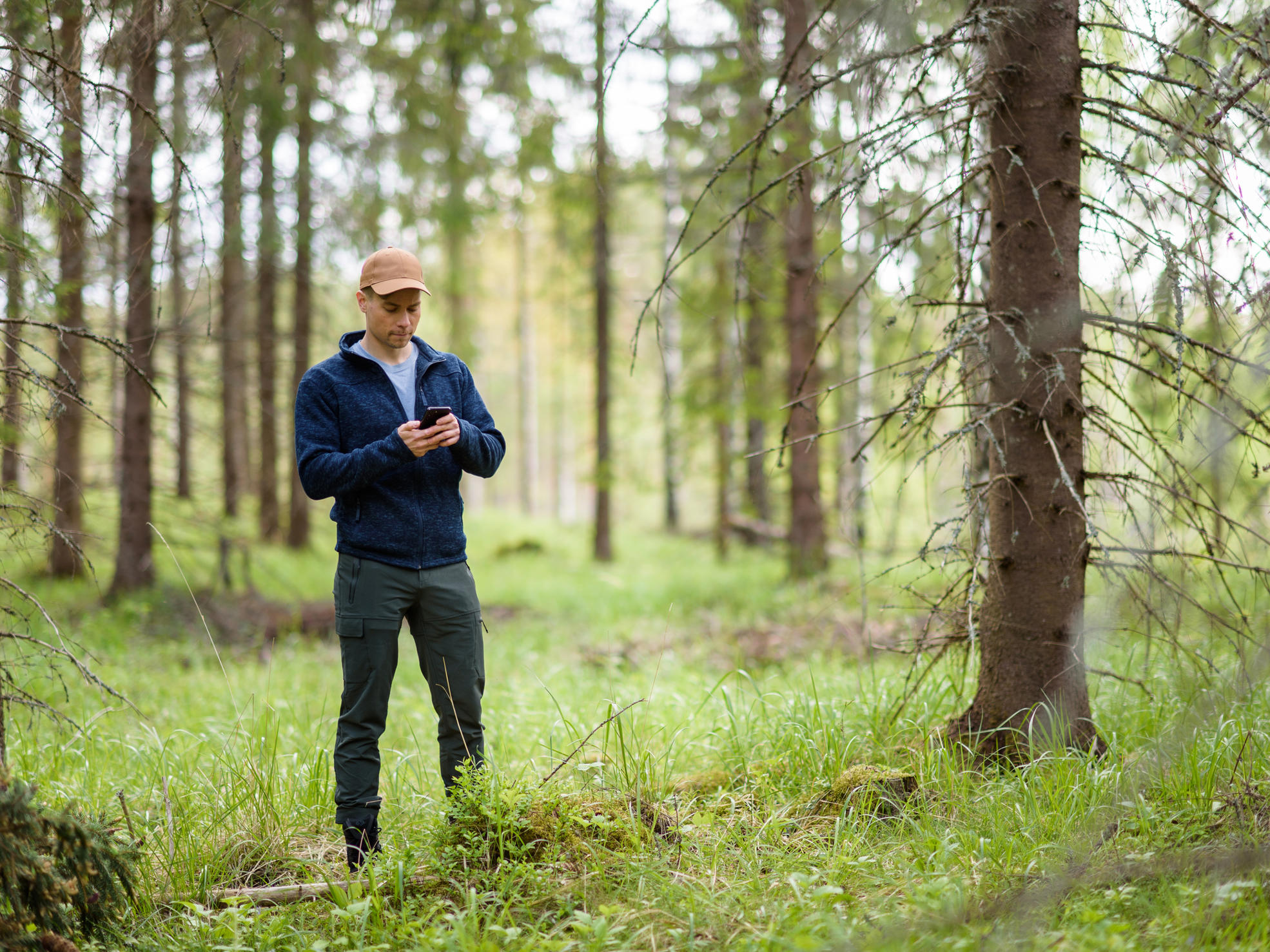 Two persons identifying insect damage with an application in a forest 