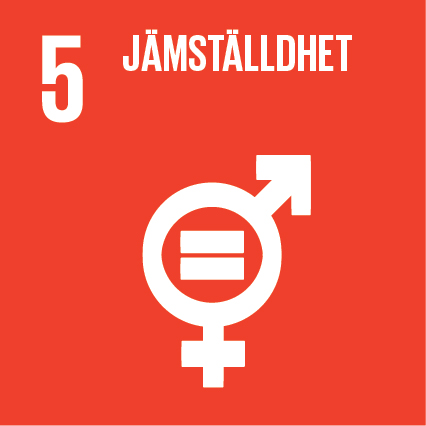 Sustainable-Development-Goals_icons-05-1.jpg