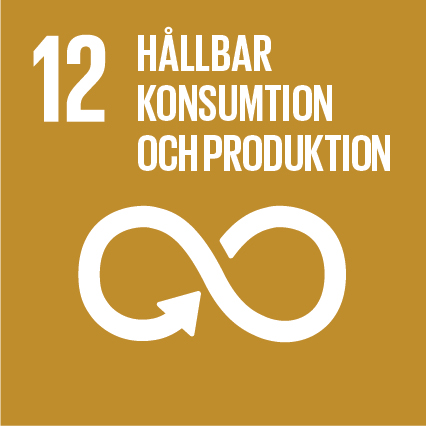 Sustainable-Development-Goals_icons-12-1.jpg