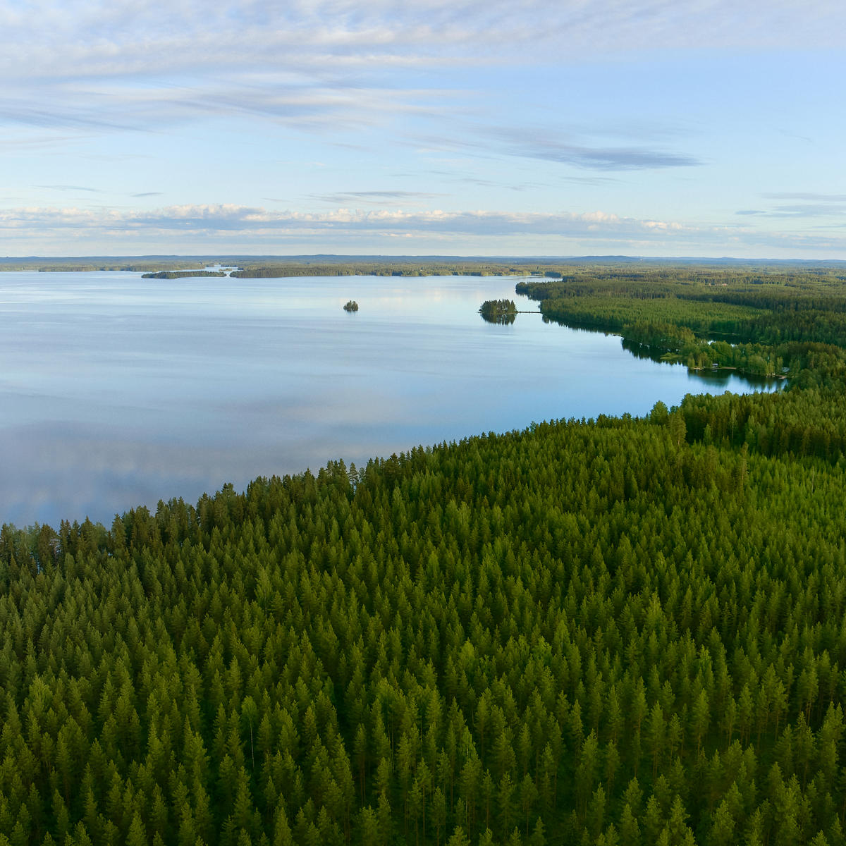 Vattendrag och grundvatten beaktas vid skogsgödsling