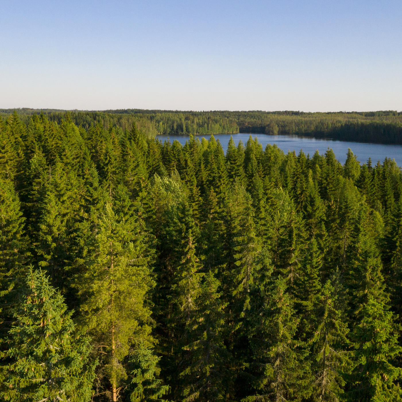Otamme hakkuissa luontokohteet huomioon
