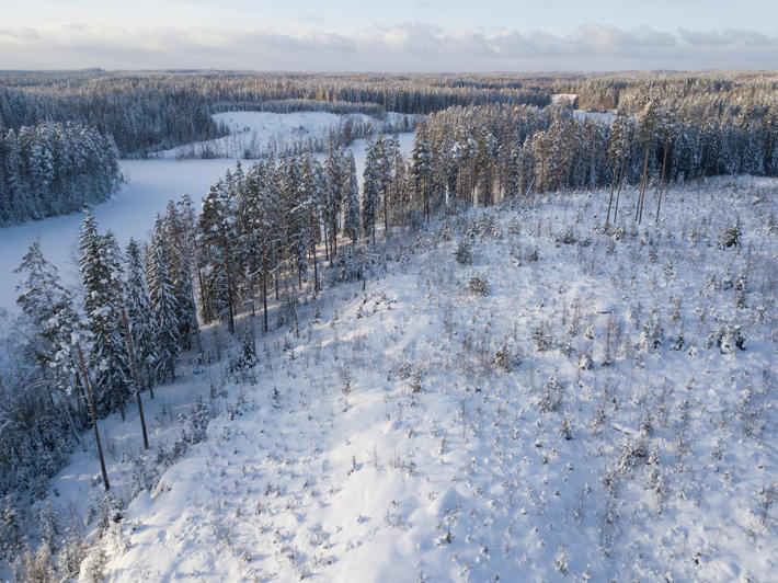 Ilmasta kuvattu talvinen metsämaisema, jossa näkyy vesistön rannalle jätetty suojavyöhyke.