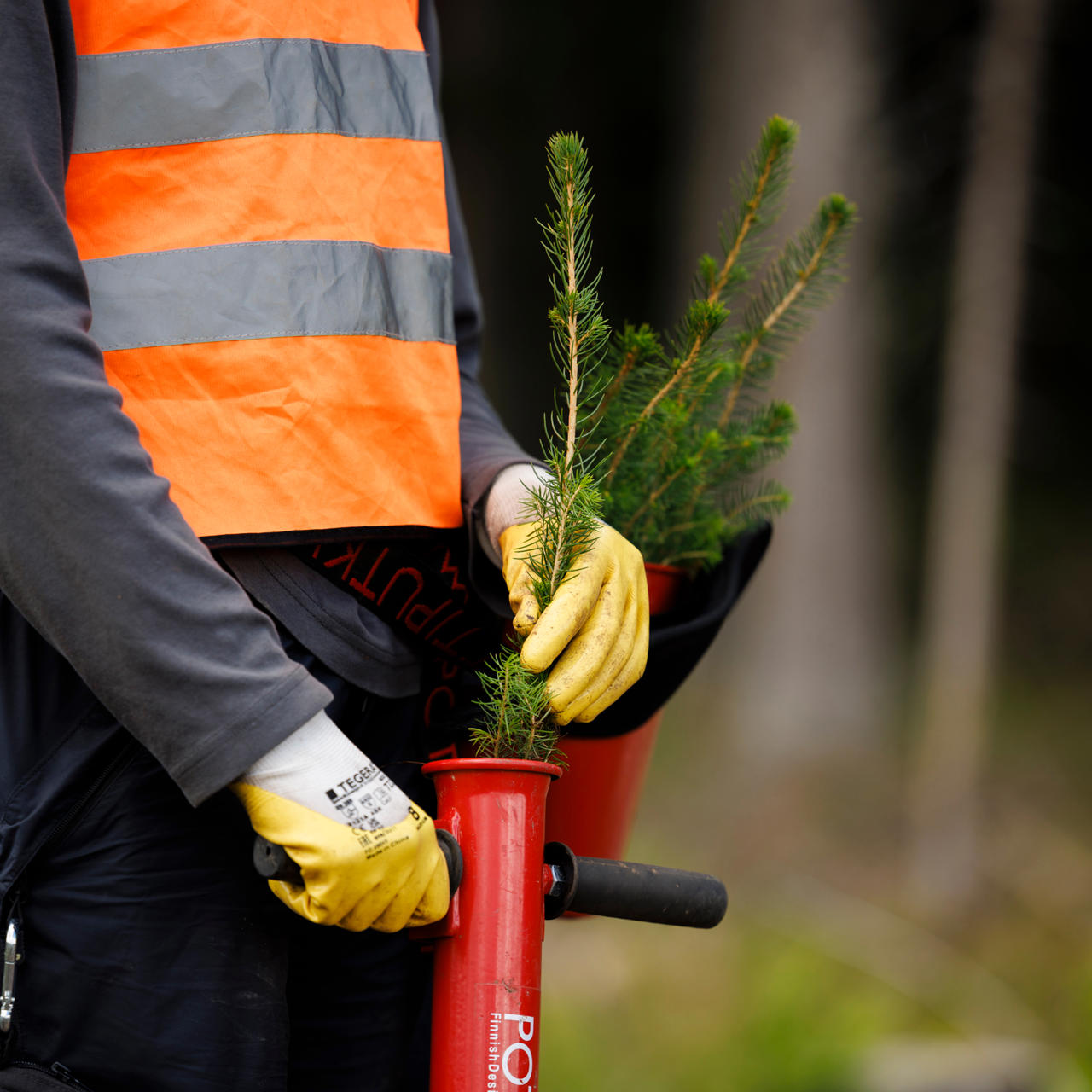 Nuorten työntekijöiden ohjaaja