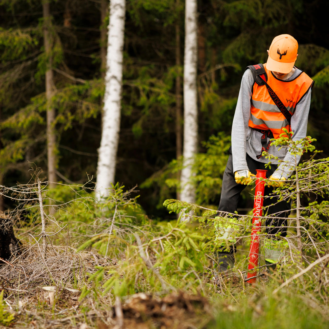 Kesätyöt metsänistutuksessa 16 vuotta täyttäneille