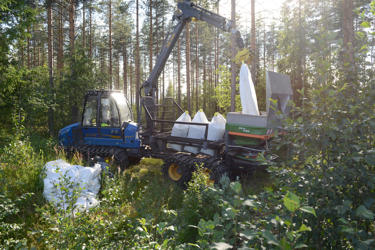 Fertilisation increases forest growth and helps trees grow sturdy faster.