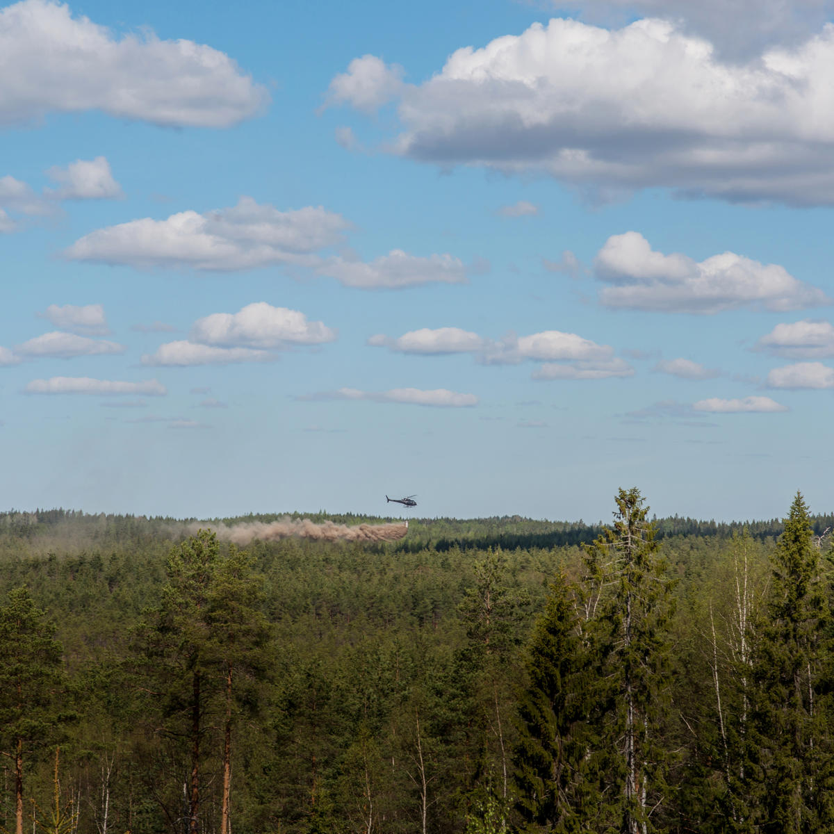 Gödsling med aska lämpar sig för torvmarker