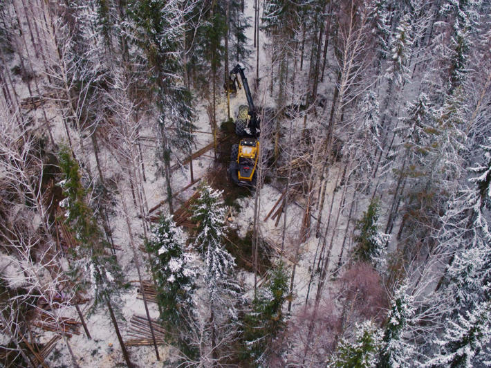 Skogsmaskin i skogen