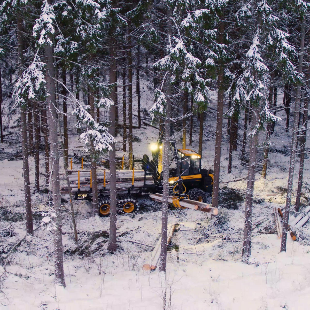 Skotare transporterar virke från en gallring.