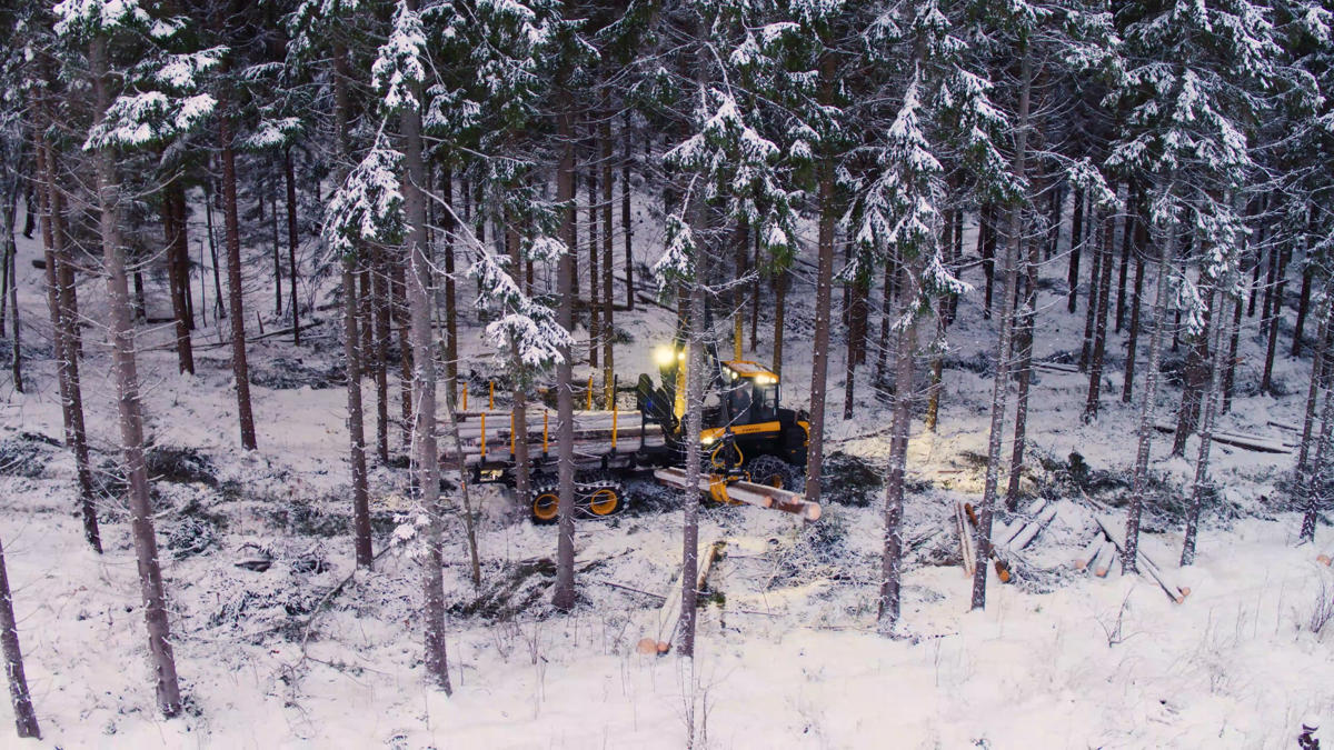 A forwarder transporting trees from the thinning site.