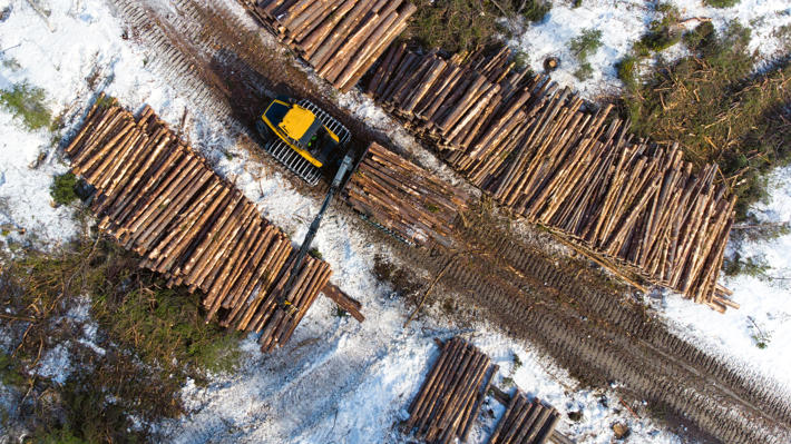 Forestry machine transporting logs.