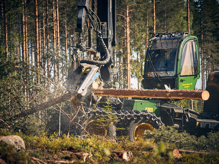 A harvester cutting a tree in the forest.