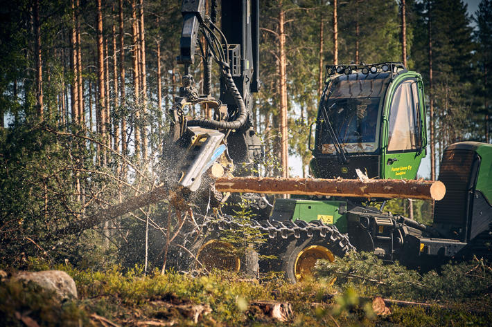 A harvester cutting a tree in the forest.