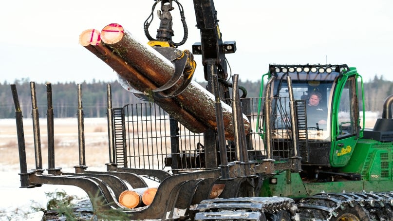 Metsä Halliossa tuottavuutta kasvatetaan laatu edellä. Nykyaikaisen konekaluston lisäksi yrityksessä satsataan henkilökunnan osaamiseen.