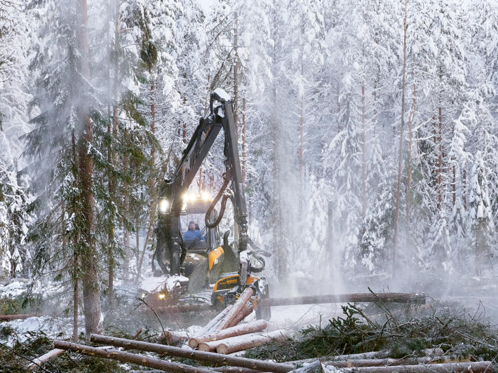 A forest machine in a forest.