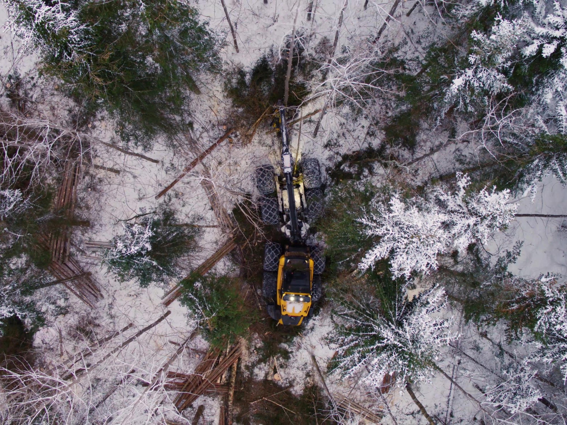 Metsäkone tekemässä harvennusta.