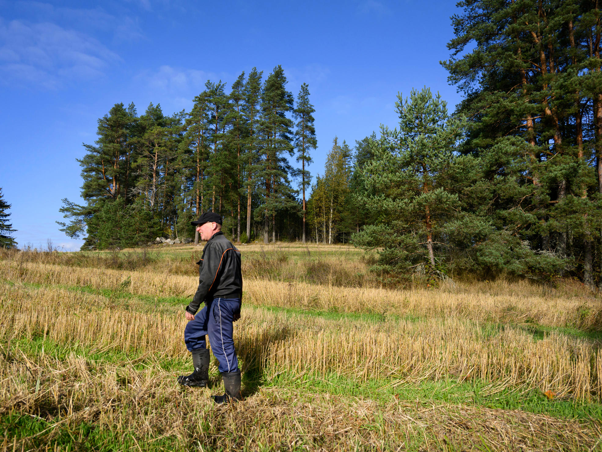 Matti Oijala promenerar på åkern vid sin hemgård.