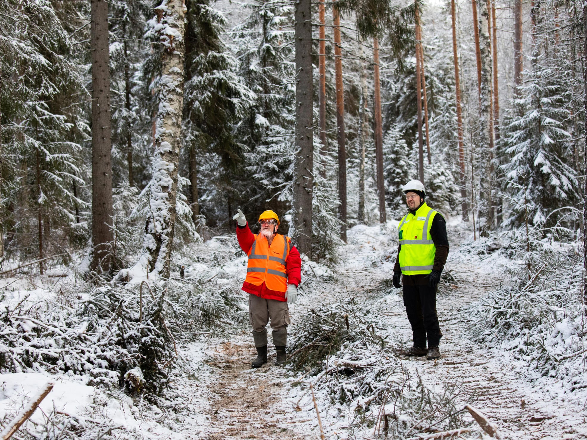 Skogsägaren och skogsexperten granskar resultatet av avverkningen i skogen.