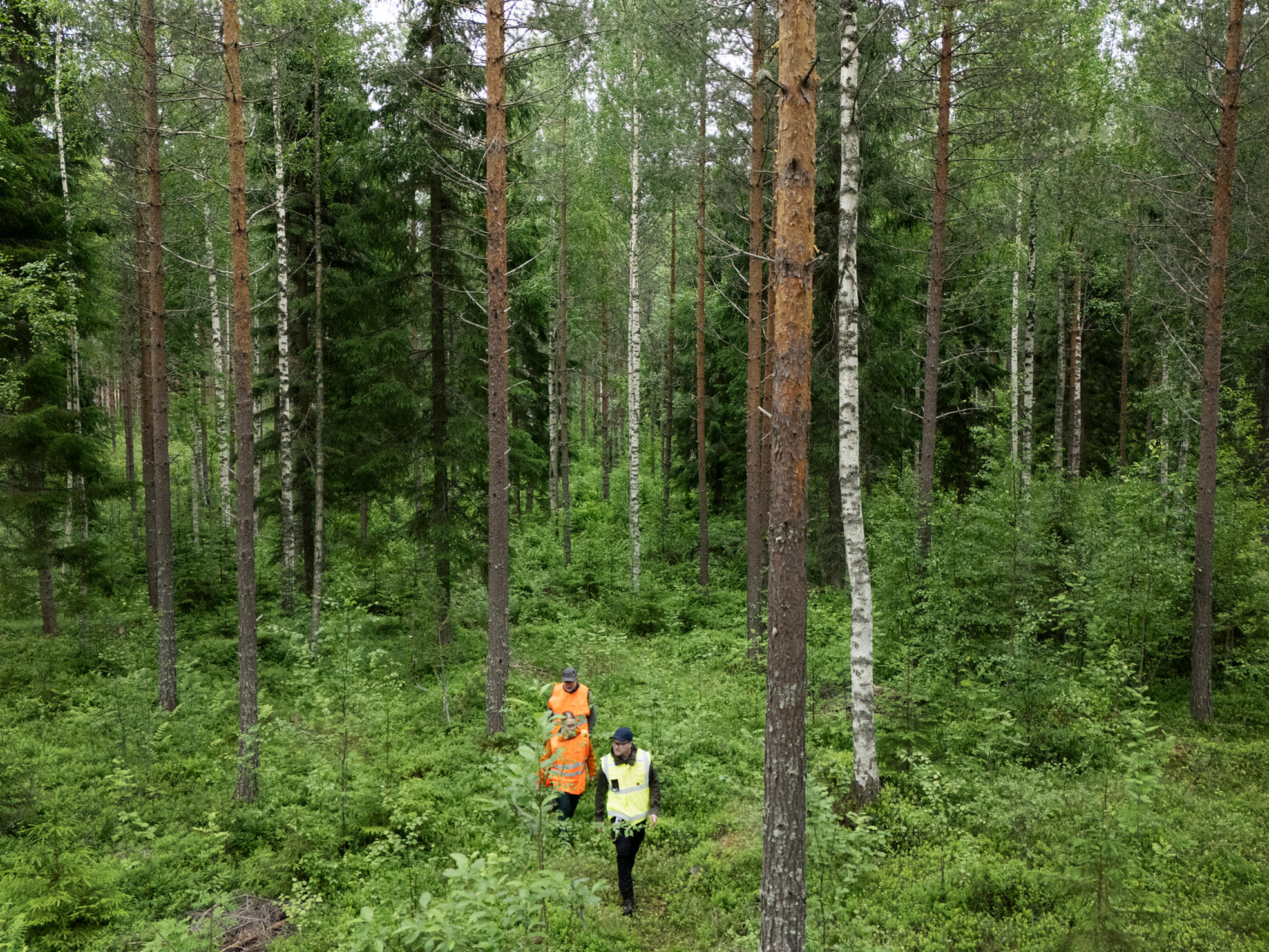Metsäasiantuntija ja metsänomistajia metsässä.