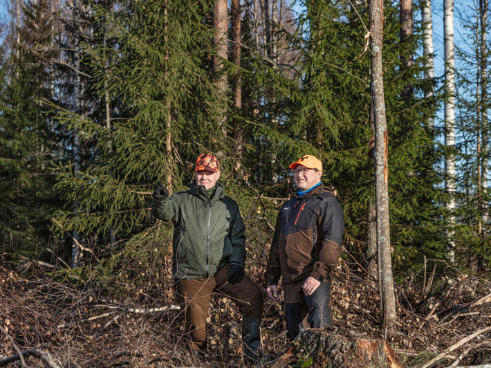 Metsänomistaja Ville Hirvonen ja metsäasiantuntija Tuomas Kiljunen katselevat leimikkoa.