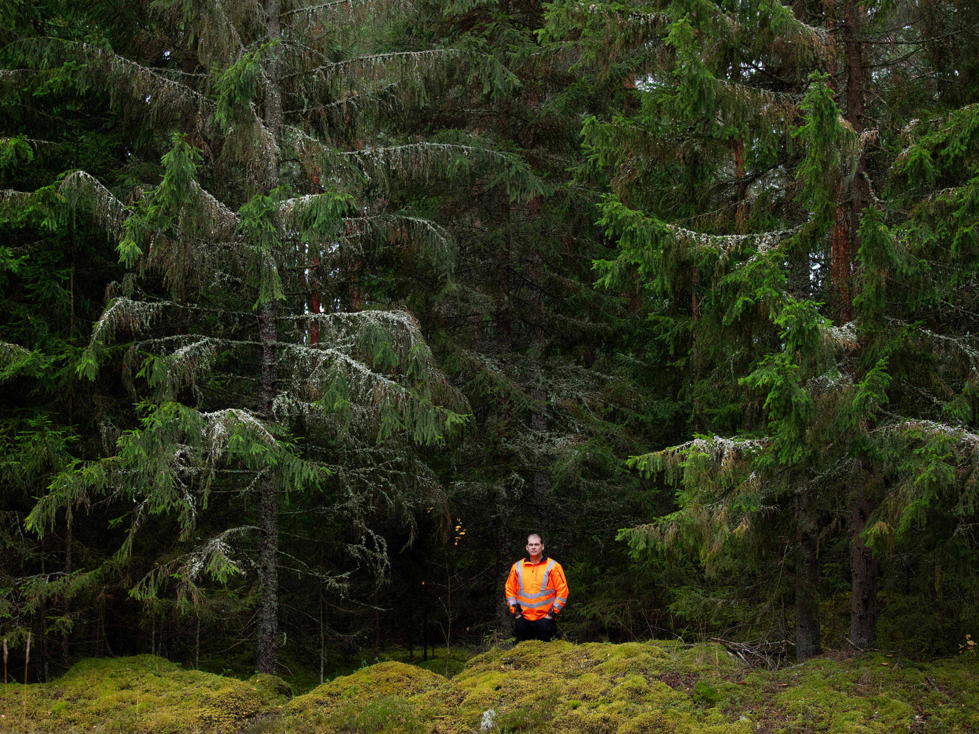 Jari Laineenoja står i skogen.