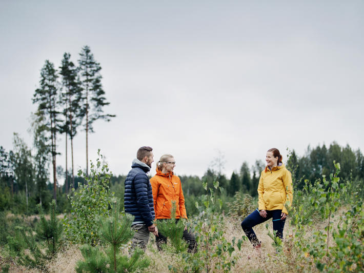 Metsäasiantuntija keskustelee metsänomistajien kanssa hakkuuaukean reunassa.