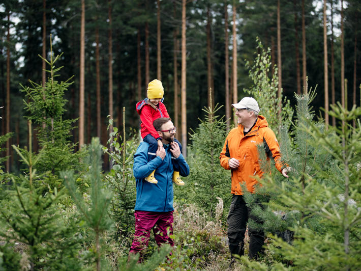 Lapsi istuu isänsä hartioilla ja he ovat metsäasiantuntijan kanssa katsomassa taimikkoa.