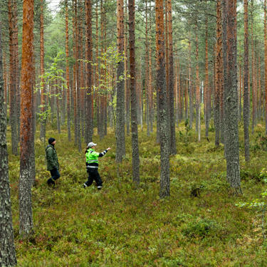 Careful consideration is worthwhile in peatlands. 