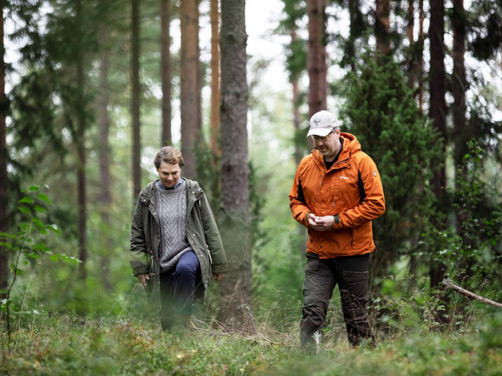 Metsäasiantuntija ja metsänomistaja kävelevät metsässä kohti kameraa.