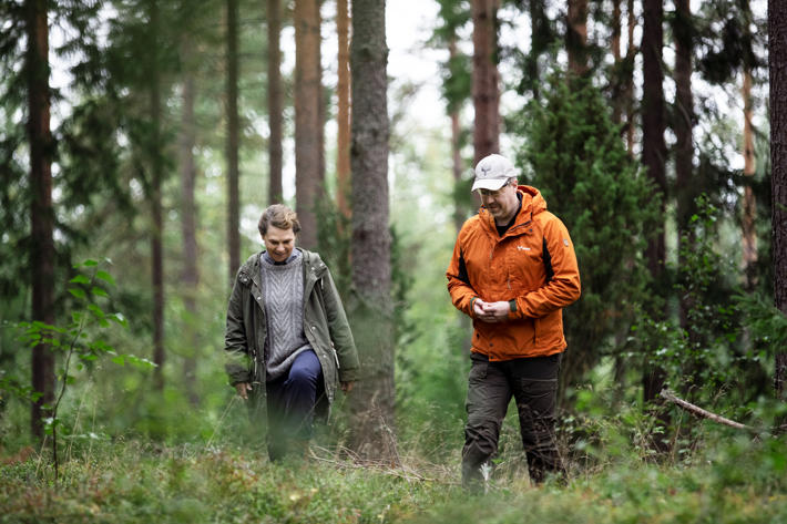 Skogsexpert och skogsägare går i skogen mot kameran.