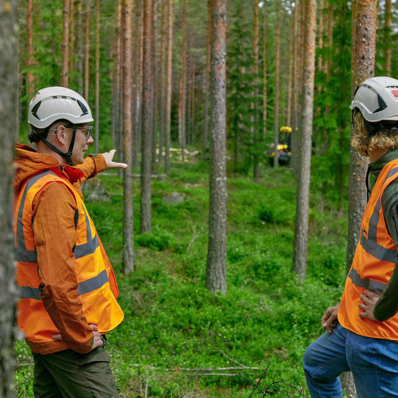 Korjuutapa ja maaperän kantavuus