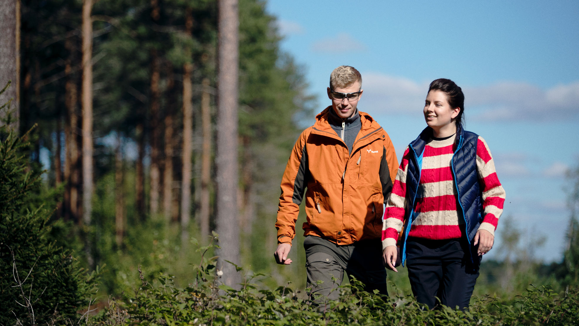 Skogsexpert och skogsägare promenerar i plantbestånd.